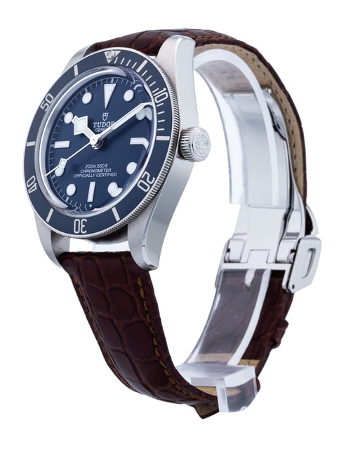 Tudor Black Bay 58 M79030B Image 2